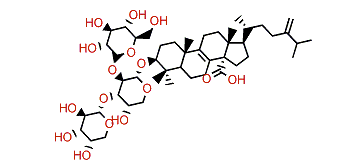 Eryloside M